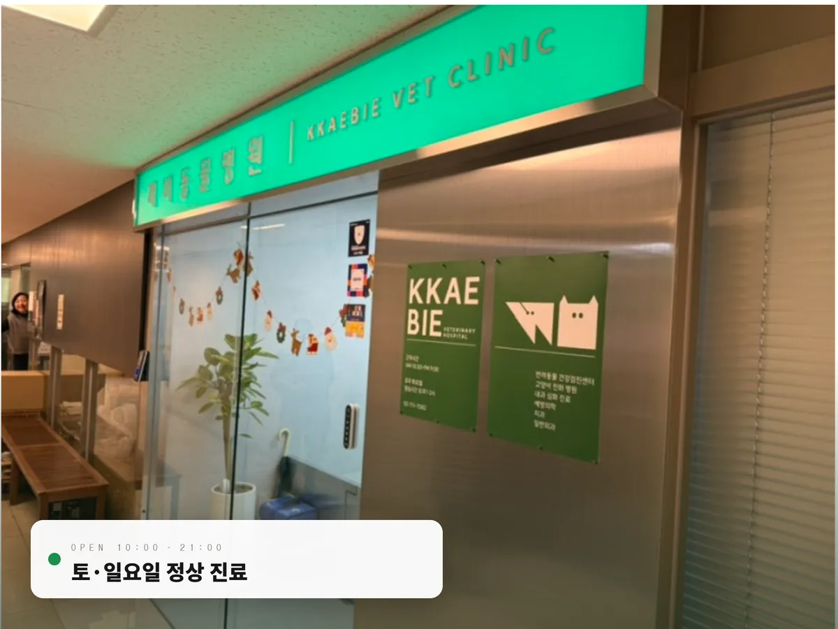 토, 일요일과 늦은 시간까지 진료