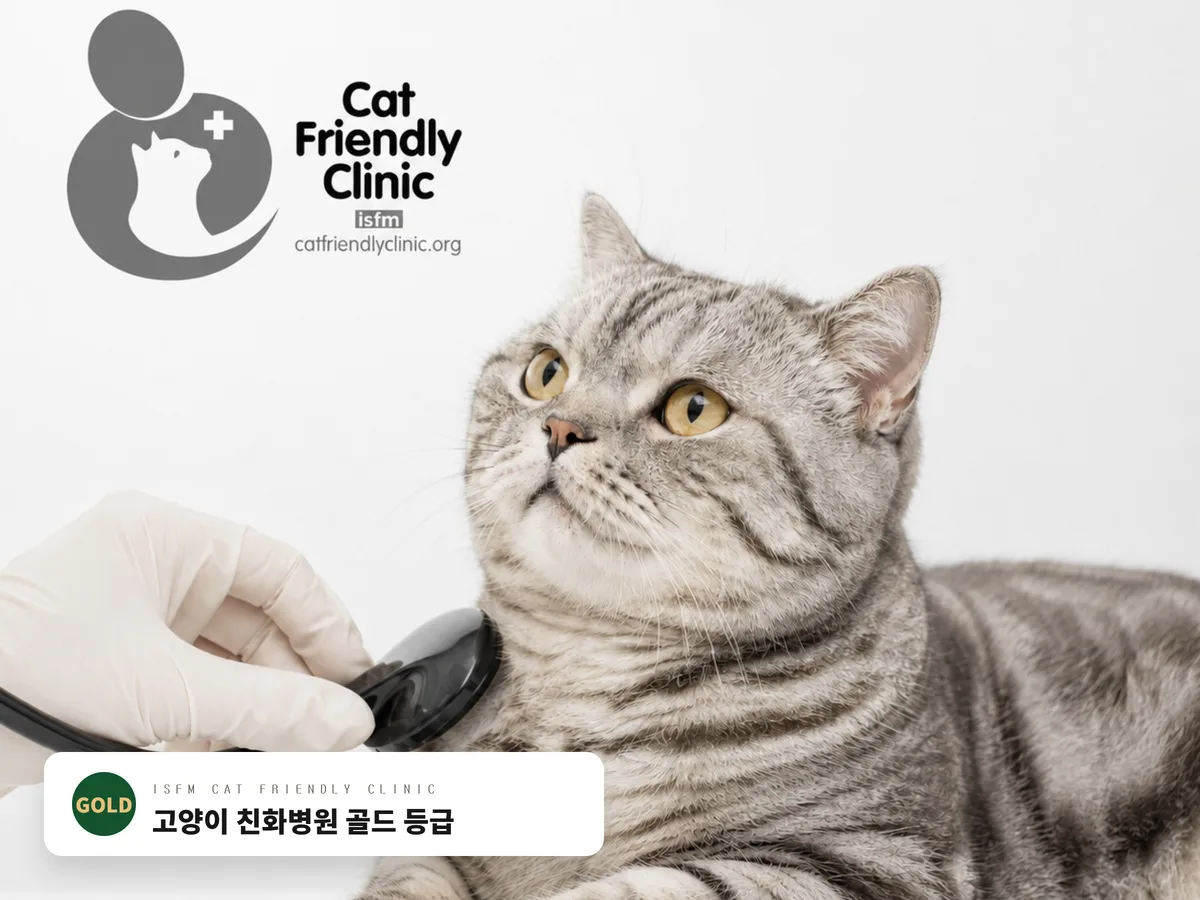 고양이 친화병원 최고 등급 획득