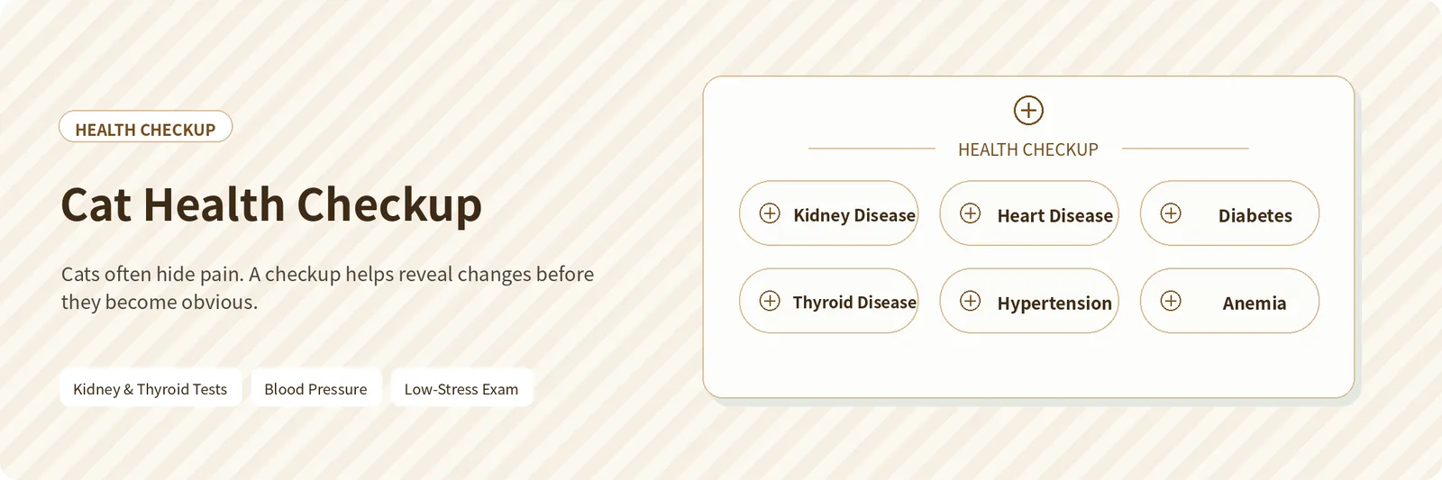 Cat Health Checkup