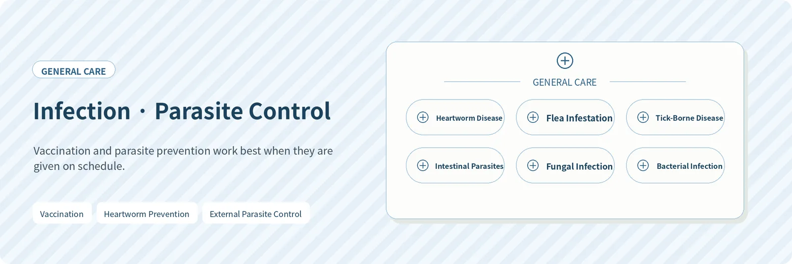 Infection & Parasite Control