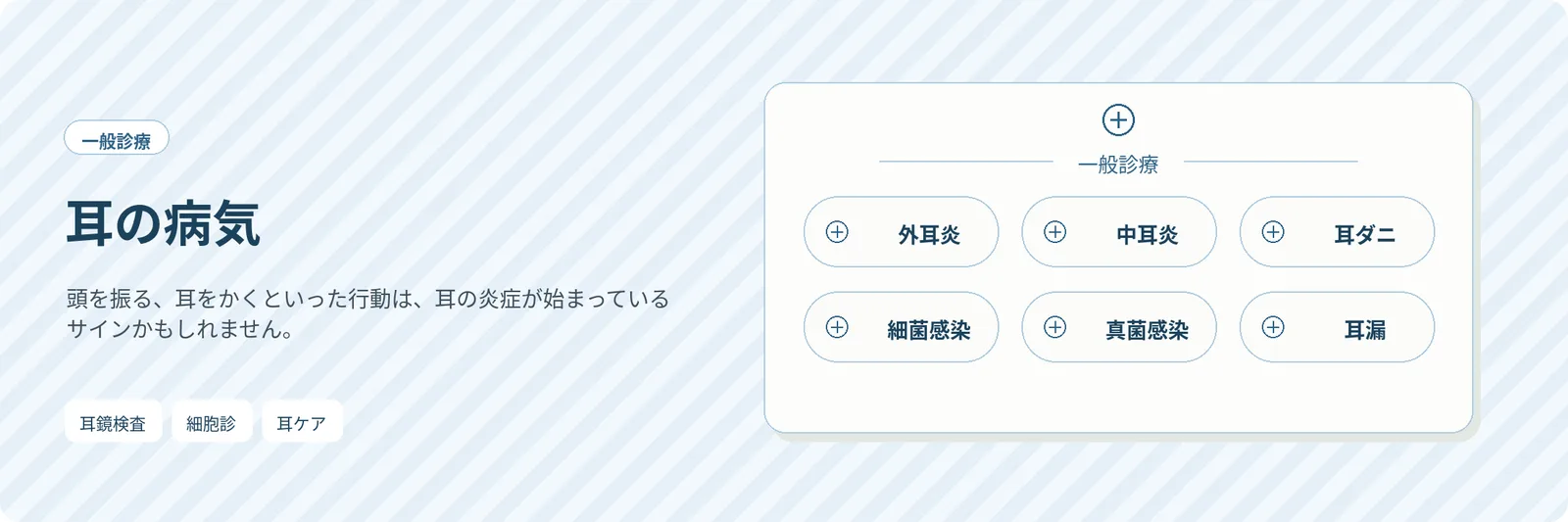 耳の病気