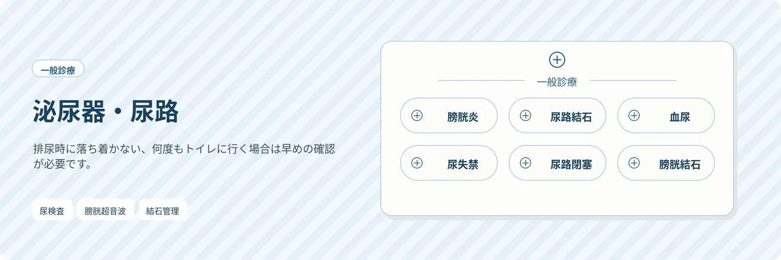 泌尿器・尿路