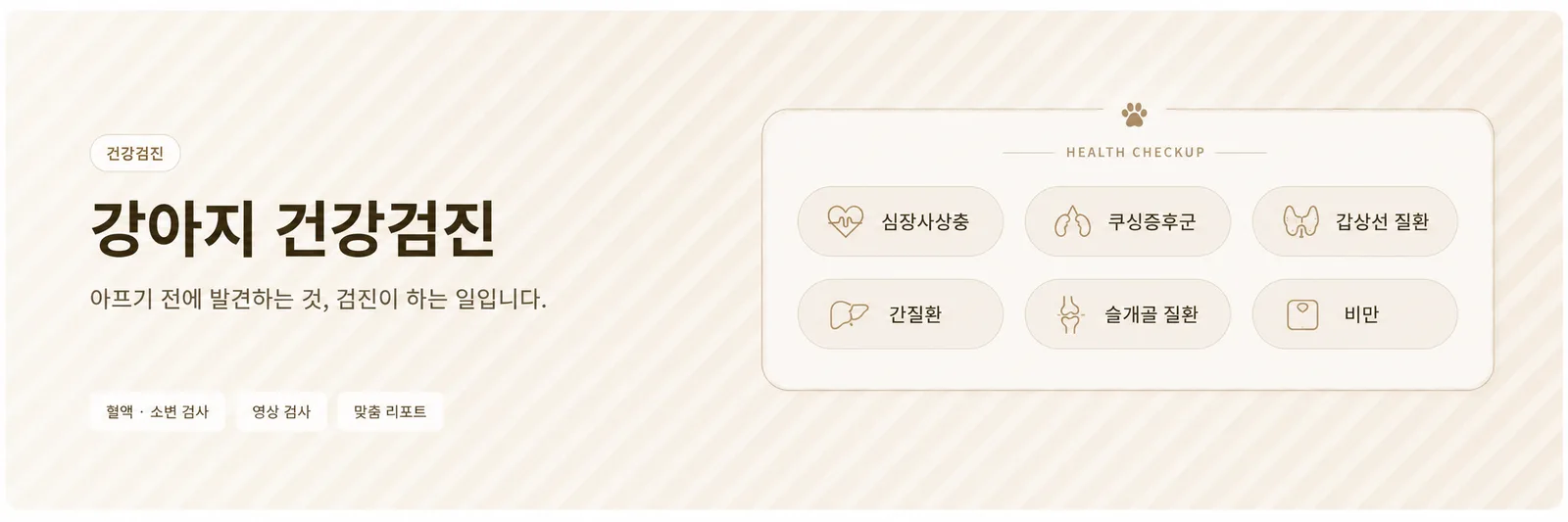 강아지 건강검진