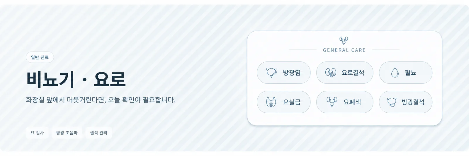 비뇨기·요로